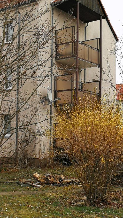 Apartment Am Suedpark Merseburg Eksteriør billede